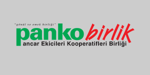 Marka Logo 17